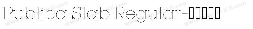 Publica Slab Regular字体转换